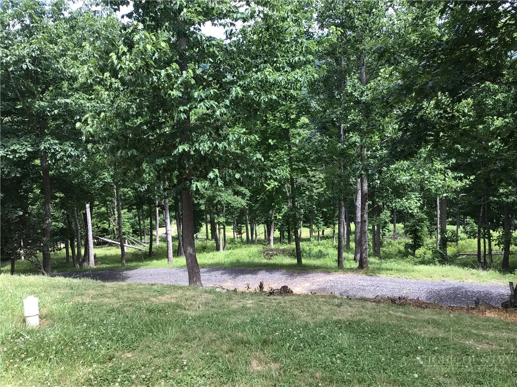 Image number 11 for the current listing