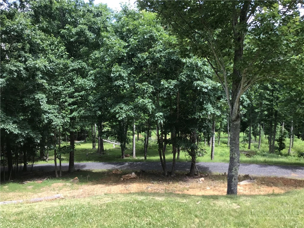 Image number 12 for the current listing