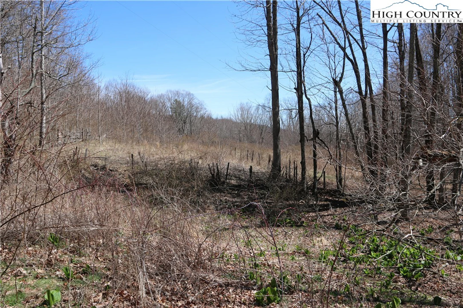 Image number 18 for the current listing