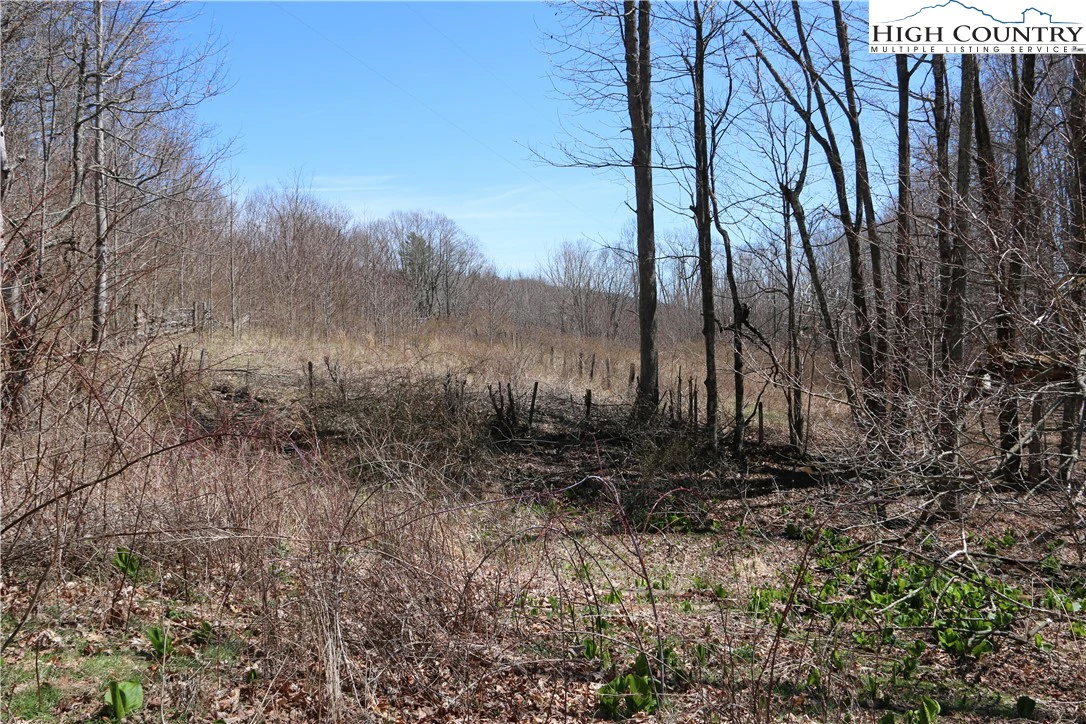 Image number 18 for the current listing