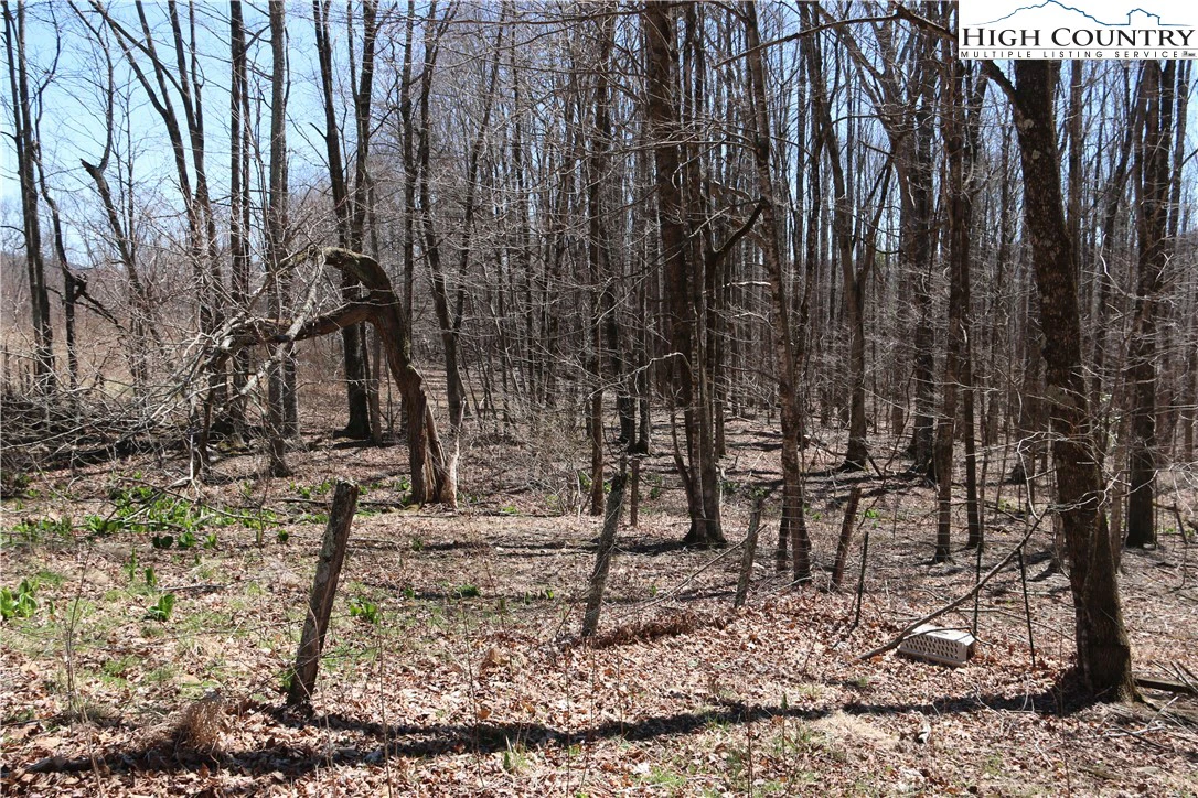 Image number 19 for the current listing