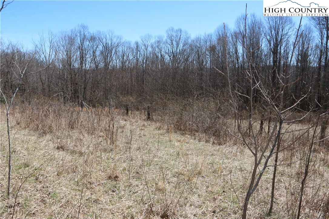 Image number 21 for the current listing