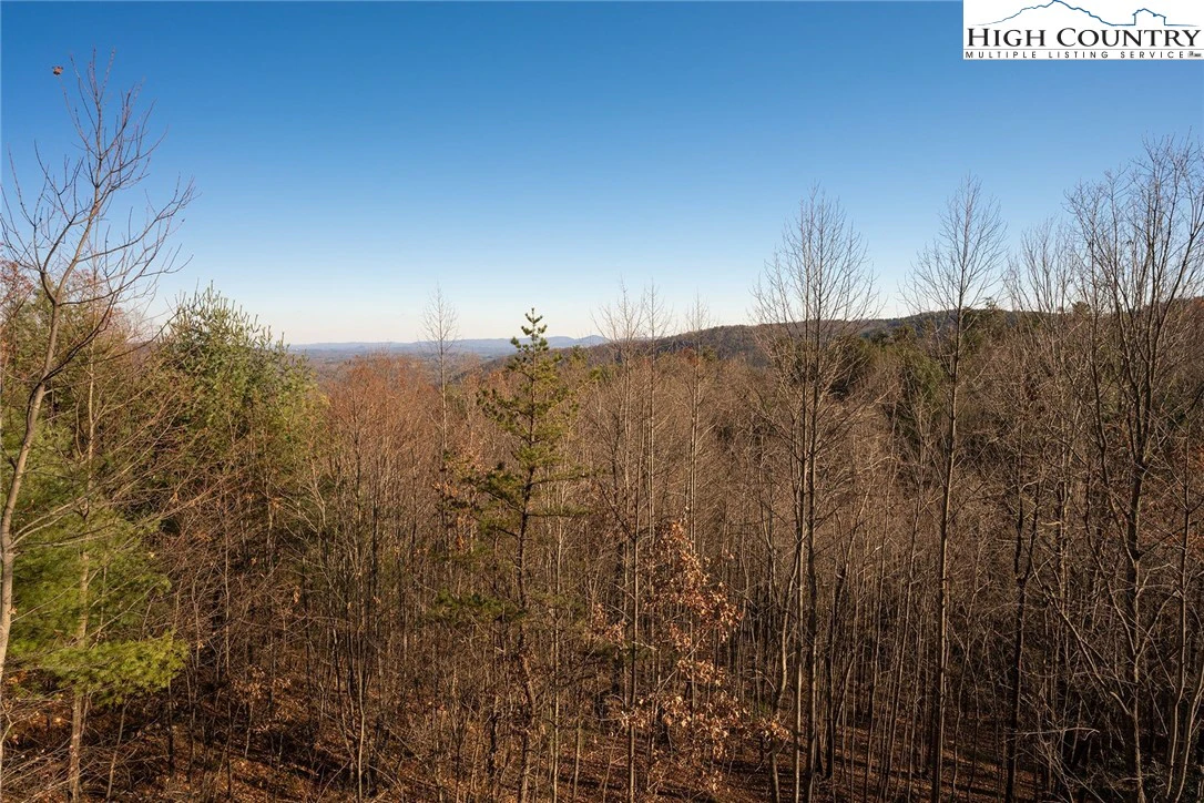 Image number 4 for the current listing