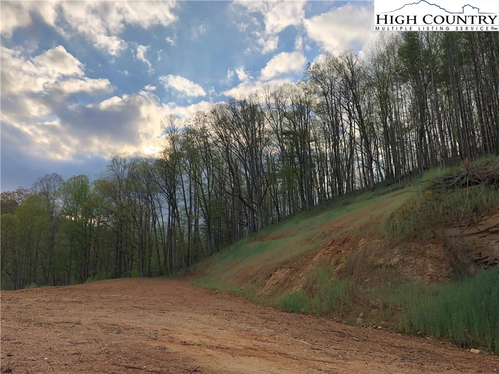 Image number 1 for the current listing