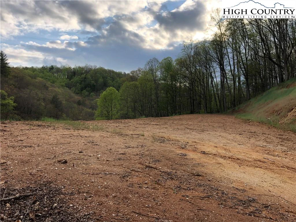 Image number 3 for the current listing
