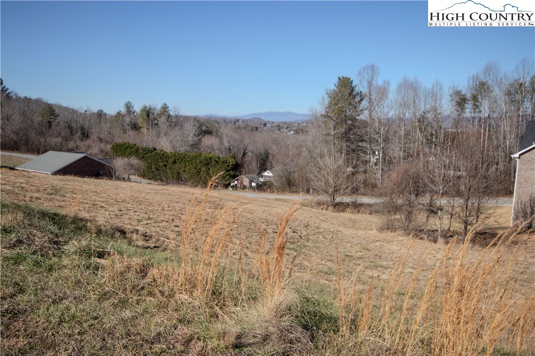 Image number 4 for the current listing