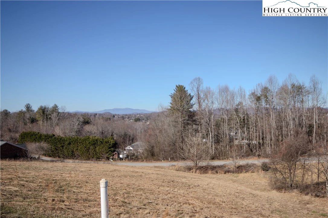 Image number 3 for the current listing