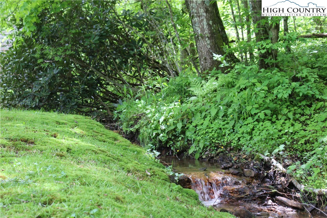 Image number 13 for the current listing