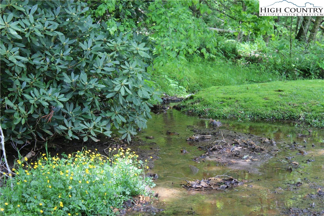 Image number 12 for the current listing