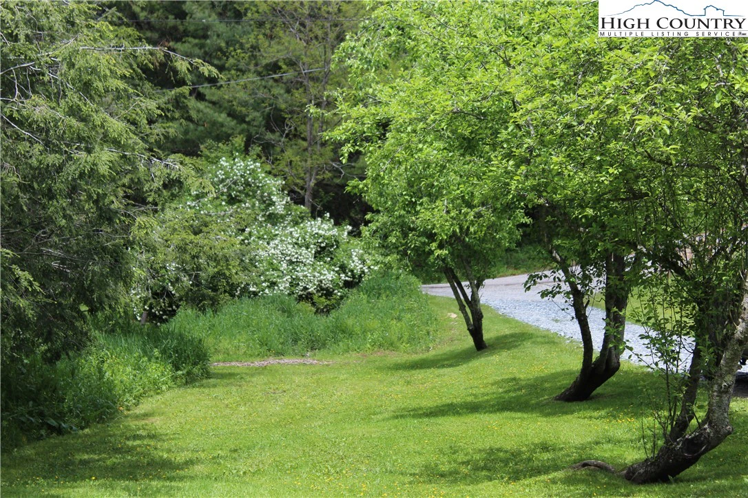 Image number 10 for the current listing