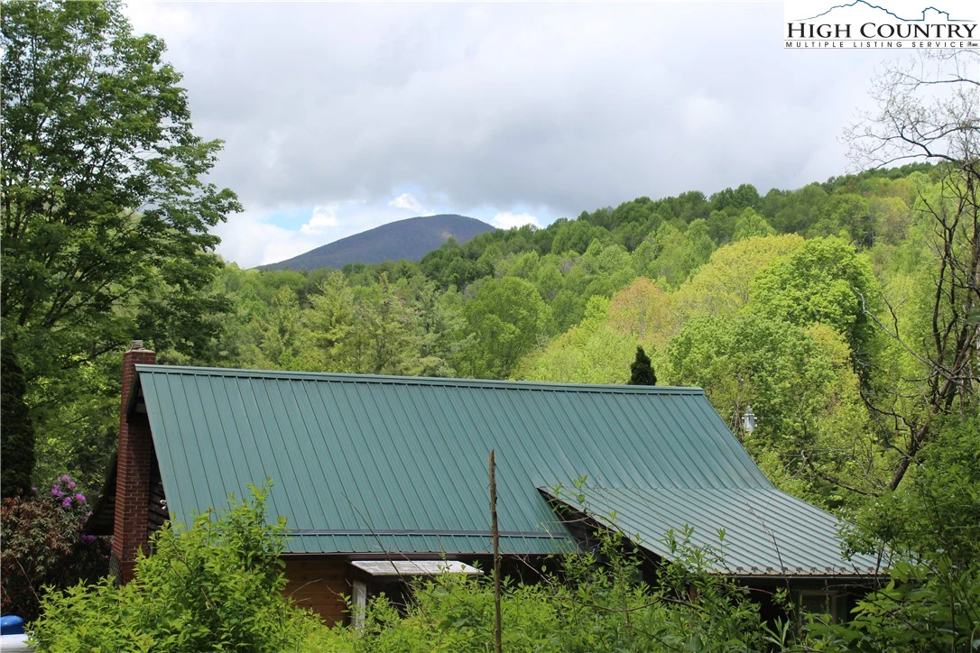 Image number 4 for the current listing