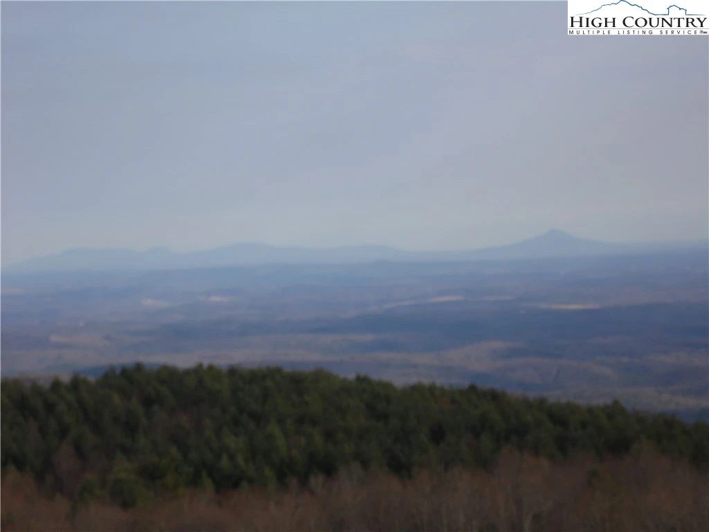 Image number 1 for the current listing