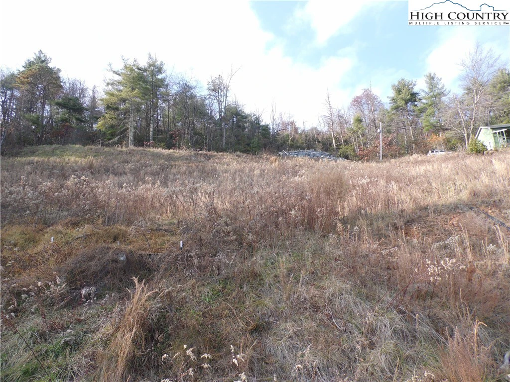 Image number 13 for the current listing