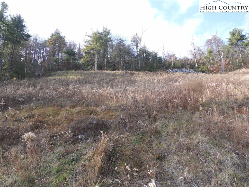 Image number 11 for the current listing