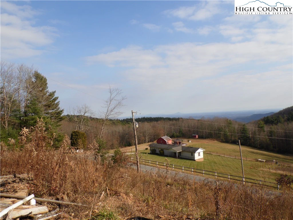 Image number 2 for the current listing