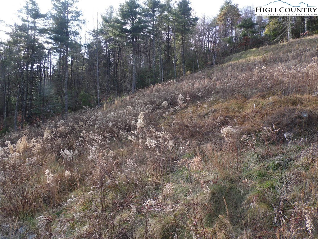 Image number 9 for the current listing