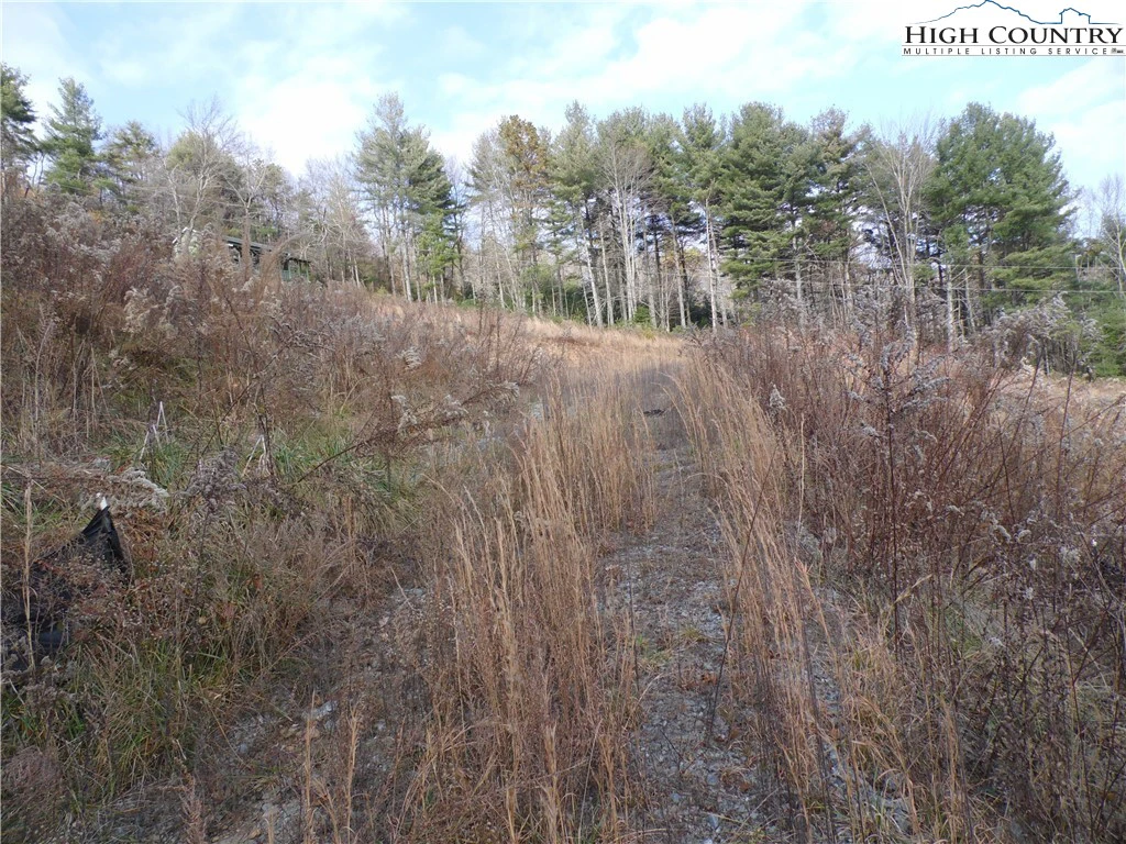 Image number 4 for the current listing