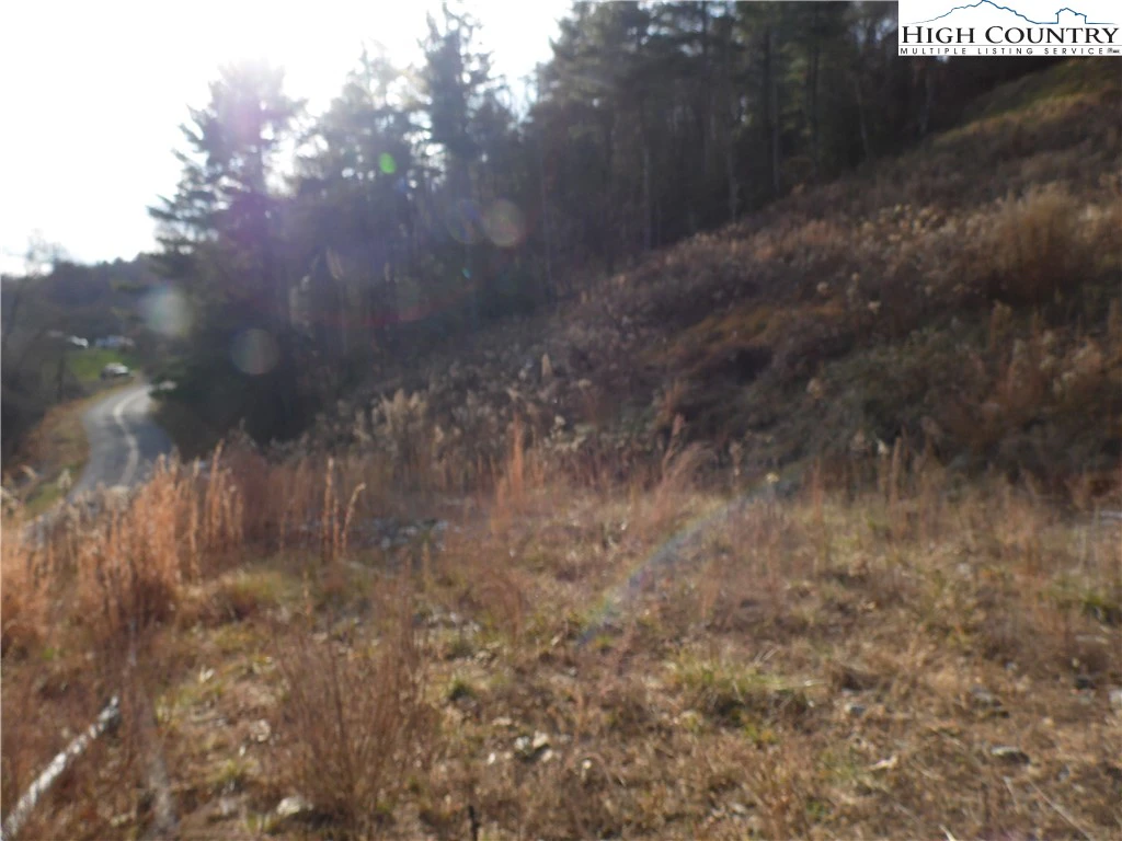 Image number 3 for the current listing