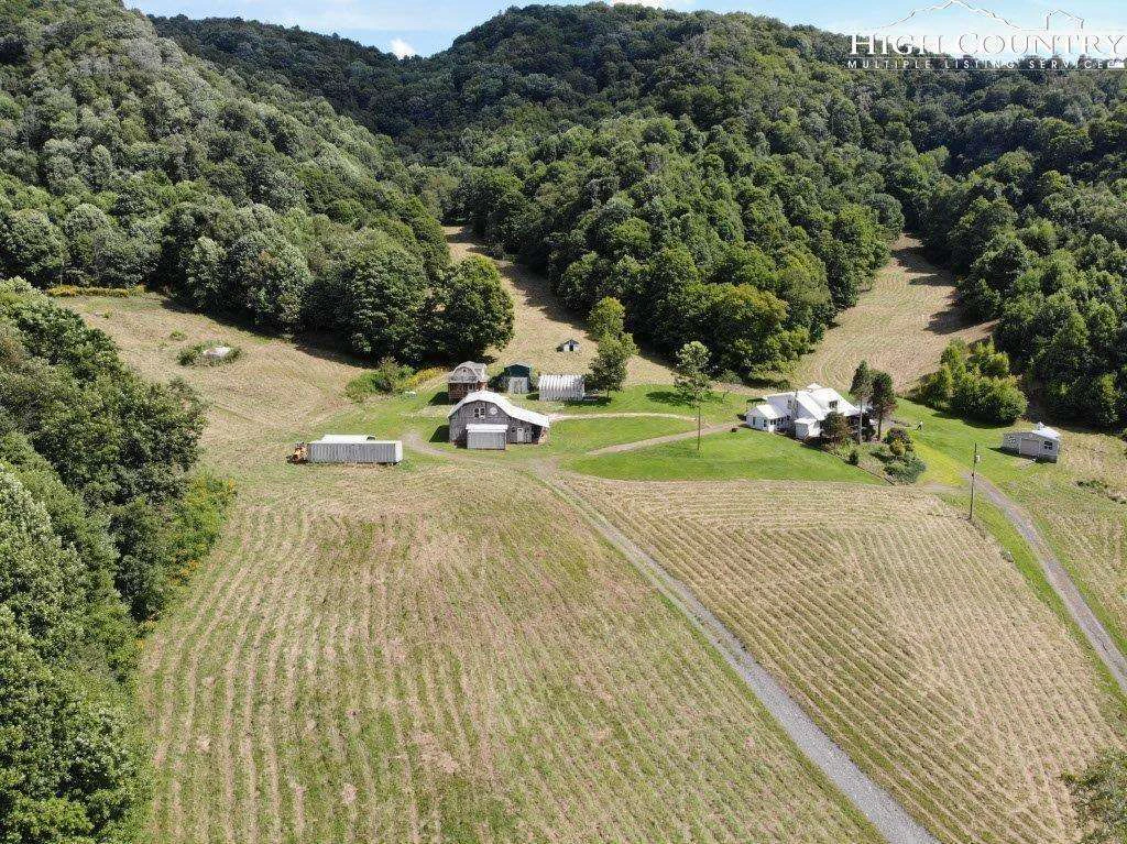 Image number 1 for the current listing