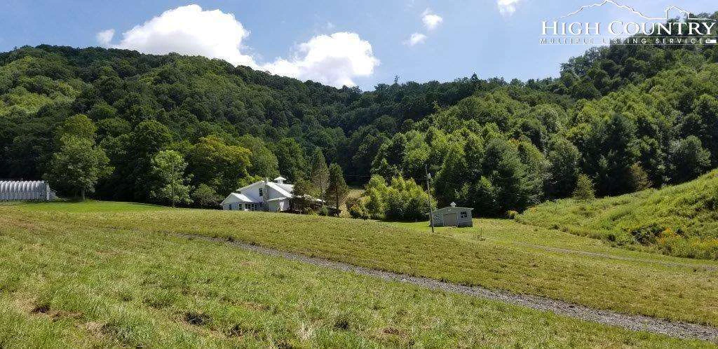 Image number 12 for the current listing