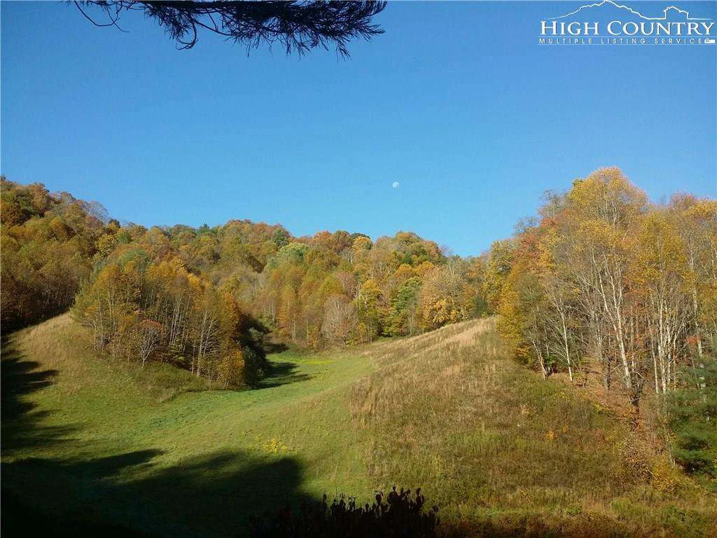 Image number 4 for the current listing