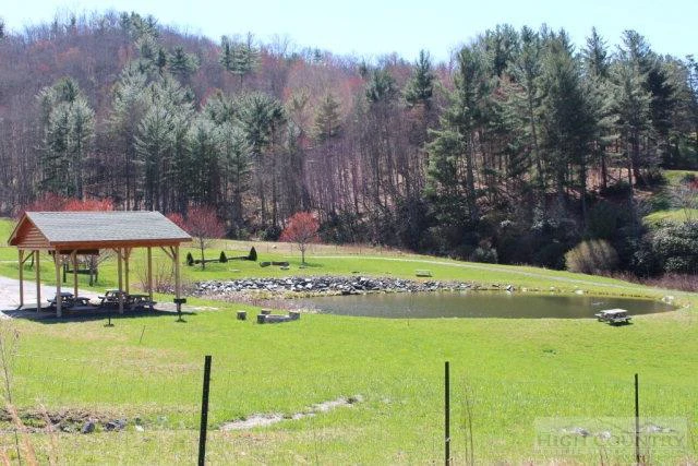 Image number 2 for the current listing