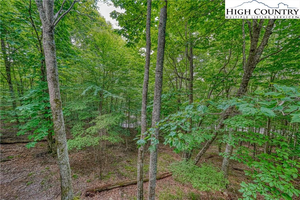 Image number 5 for the current listing