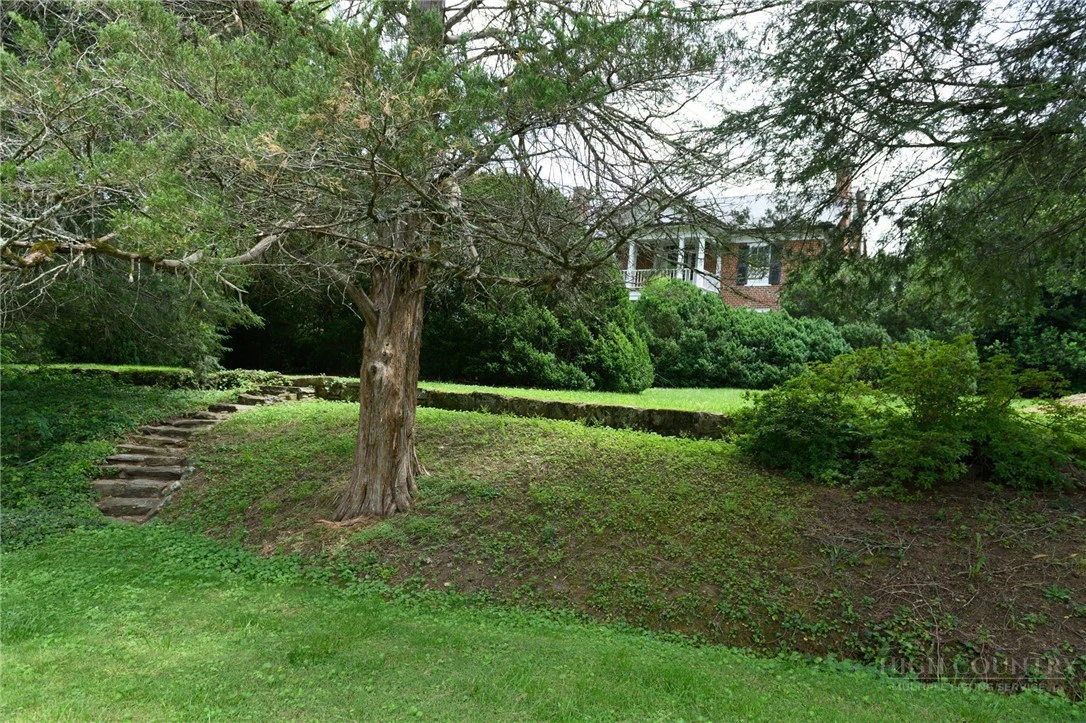 Image number 4 for the current listing