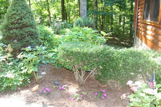 Image number 9 for the current listing