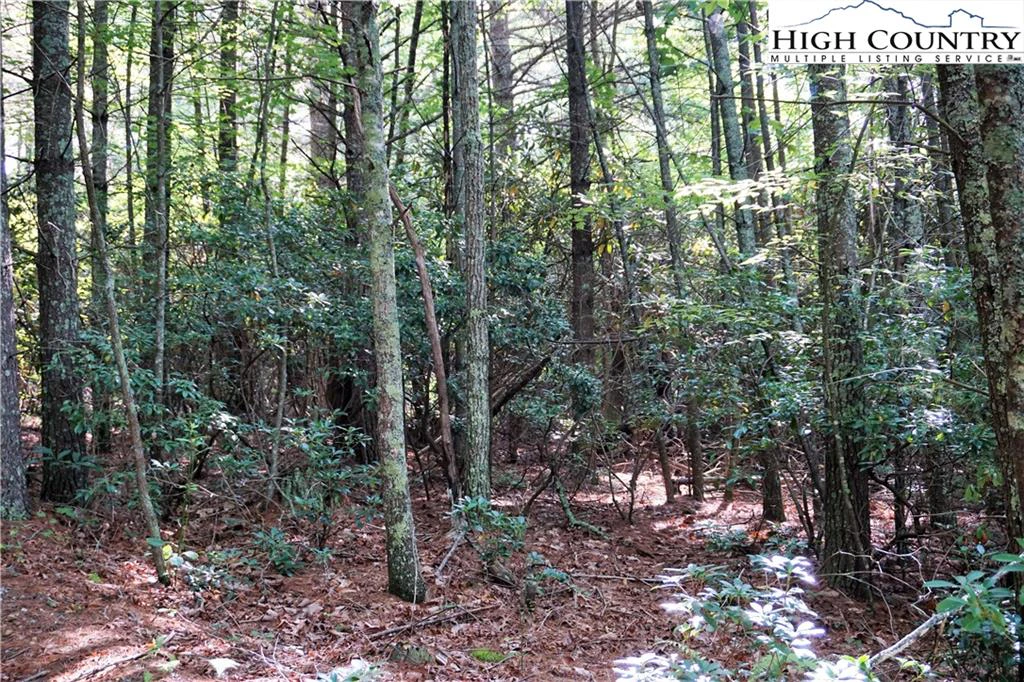 Image number 9 for the current listing