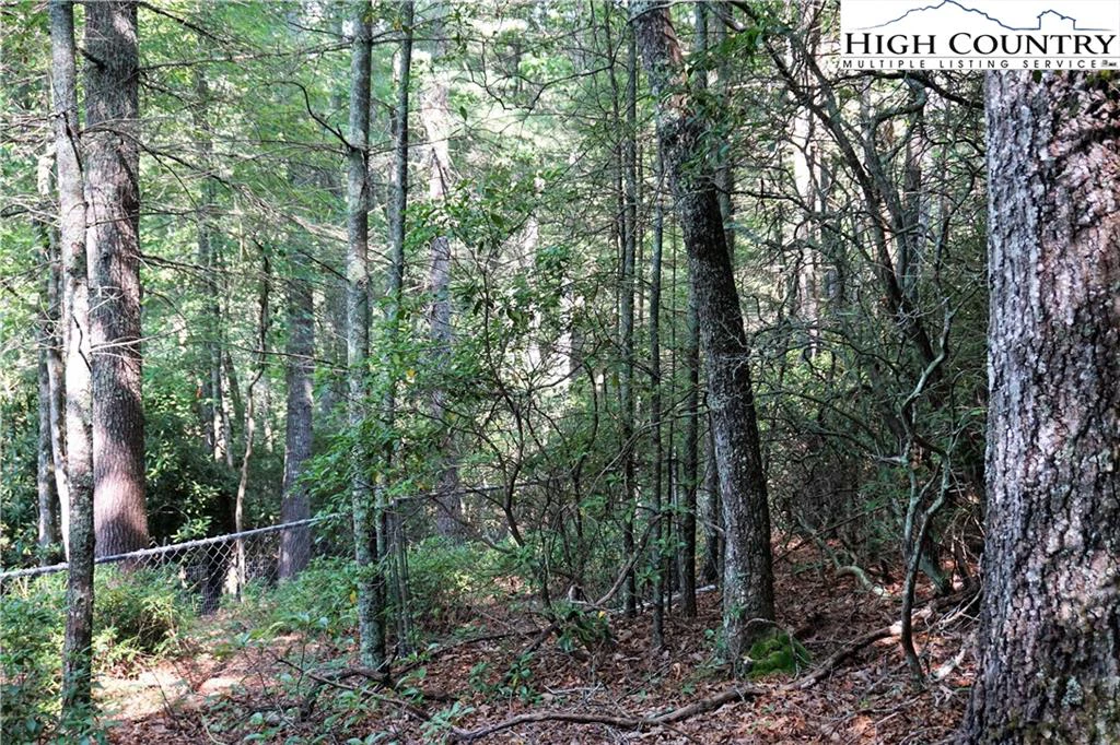 Image number 8 for the current listing