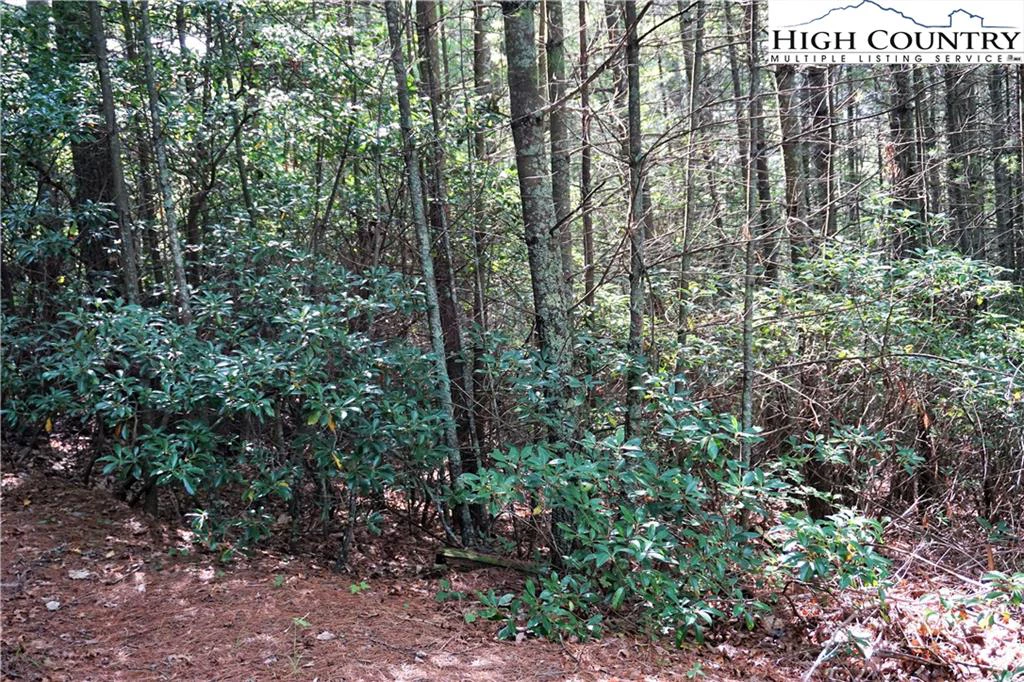 Image number 7 for the current listing