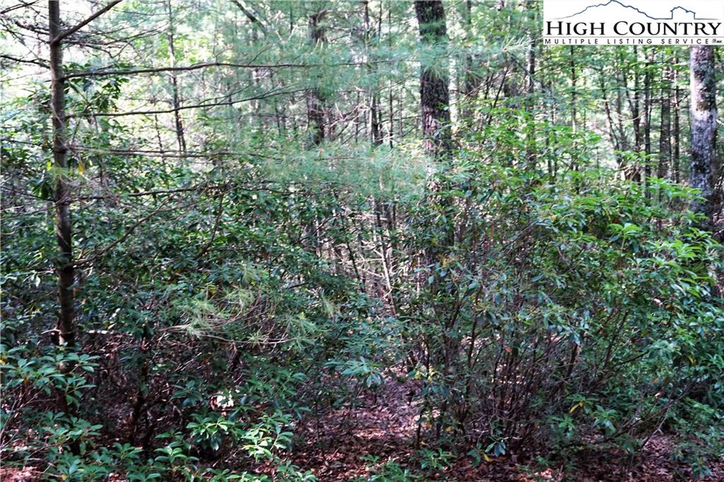 Image number 6 for the current listing