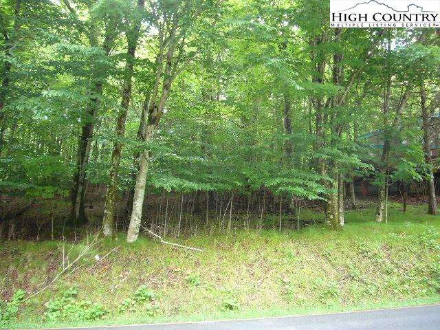 Image number 3 for the current listing