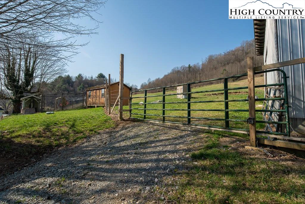 Image number 11 for the current listing