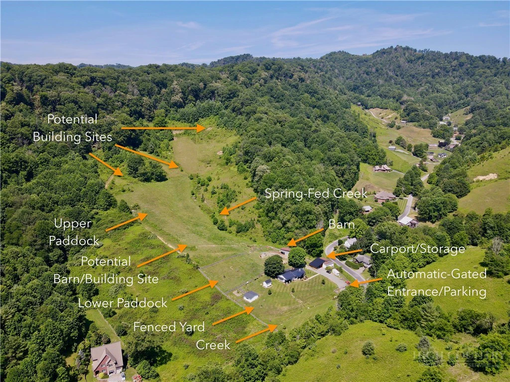 Image number 2 for the current listing