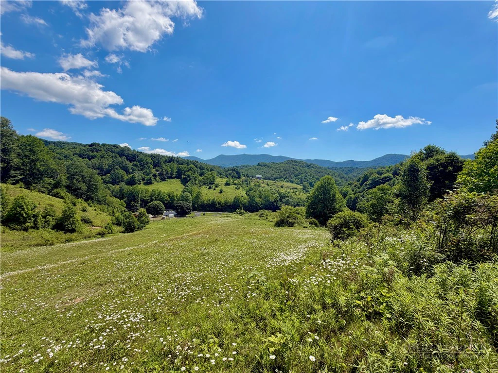 Image number 3 for the current listing