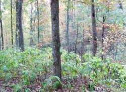 Image number 1 for the current listing