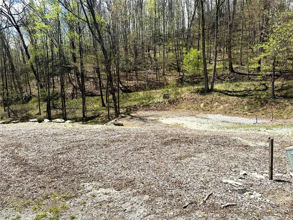 Image number 3 for the current listing