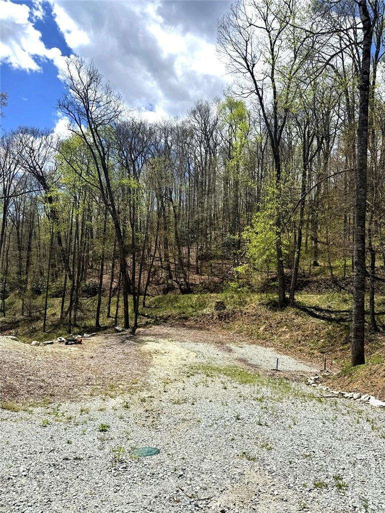 Image number 4 for the current listing