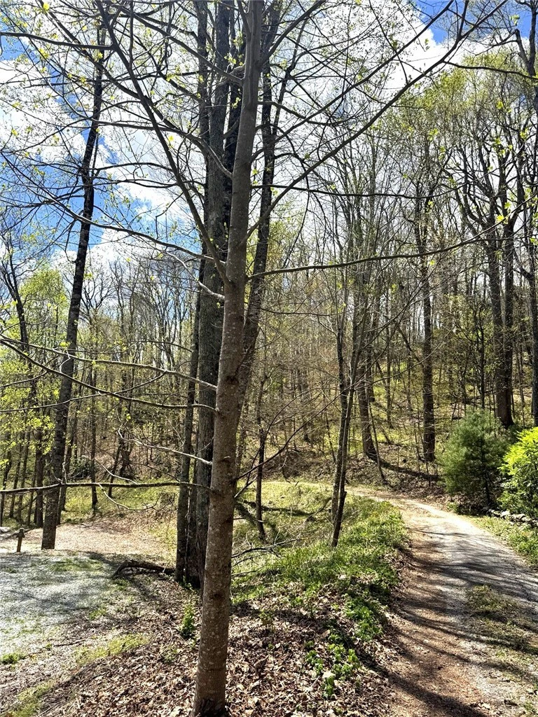 Image number 12 for the current listing