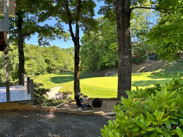 Image number 4 for the current listing