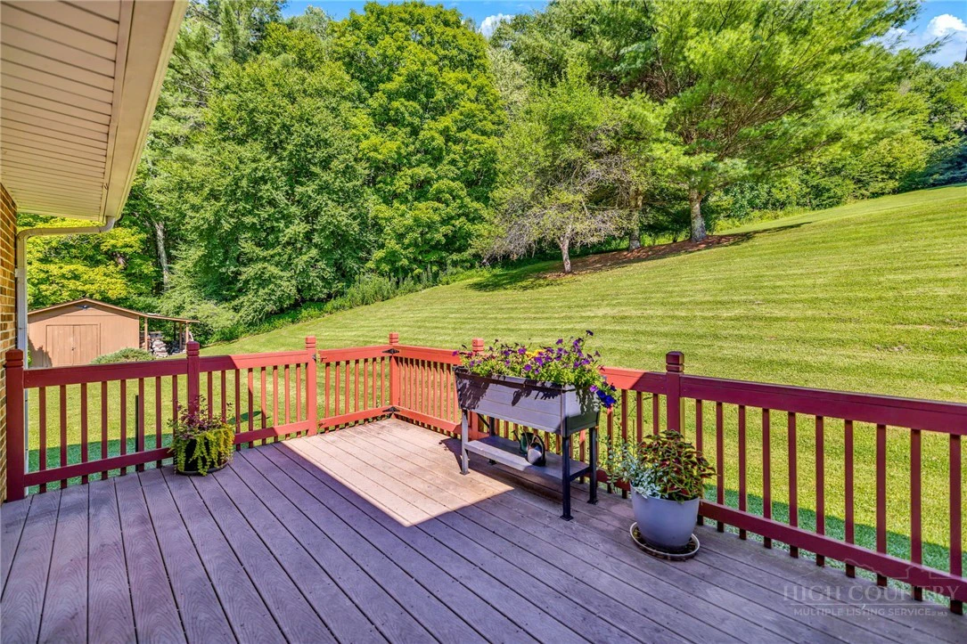 Image number 12 for the current listing