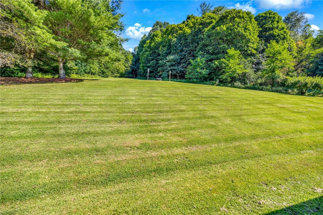 Image number 14 for the current listing