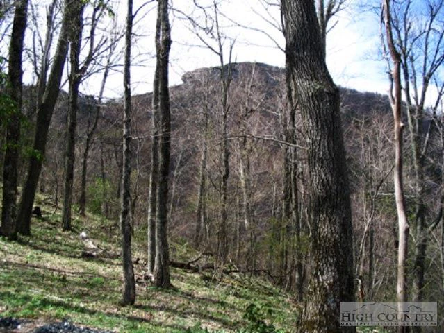 Image number 10 for the current listing