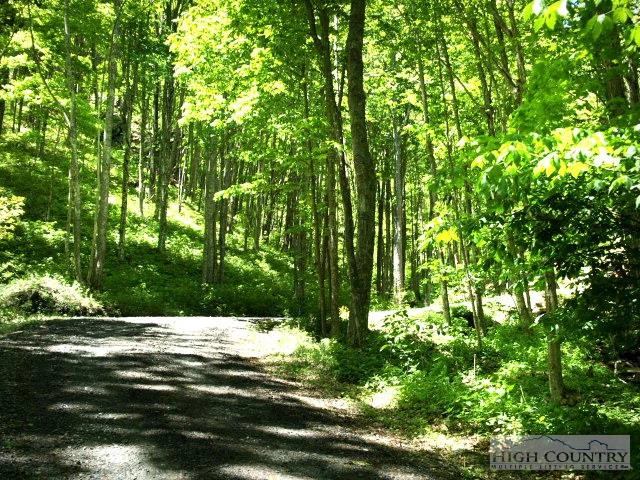 Image number 2 for the current listing