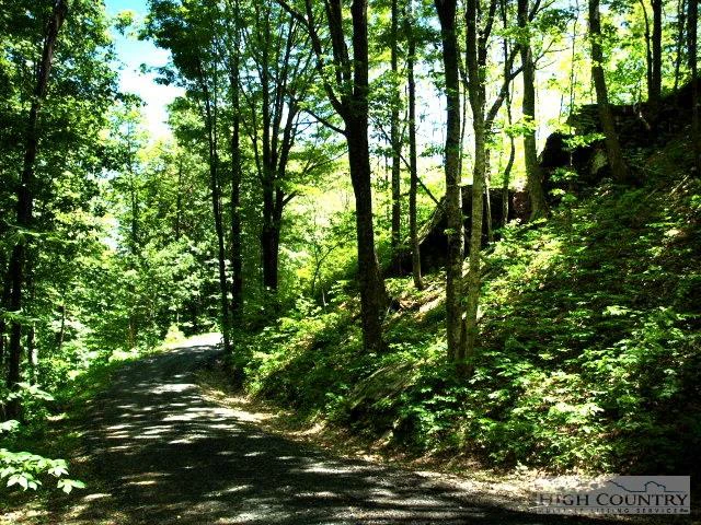 Image number 13 for the current listing