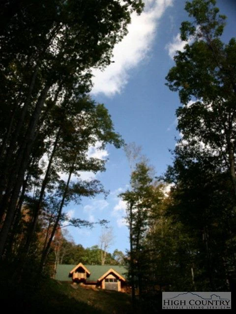 Image number 14 for the current listing