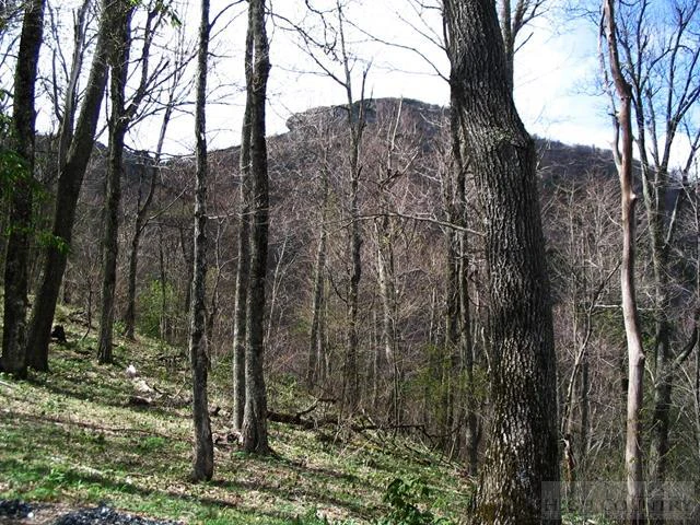 Image number 15 for the current listing