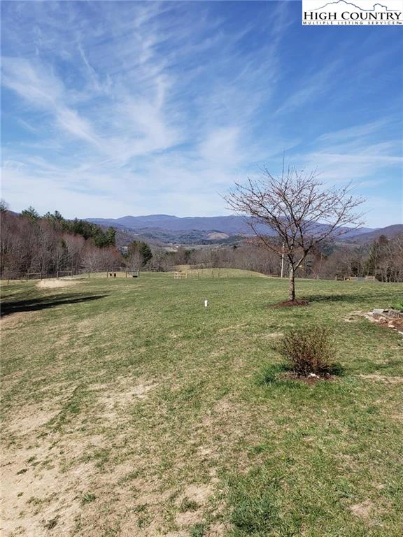 Image number 16 for the current listing